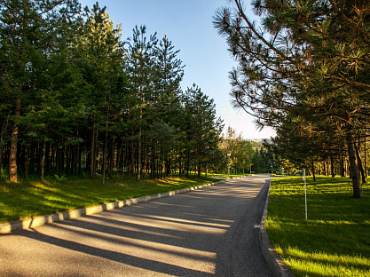 Санаторий «Заря», Кисловодск. Территория